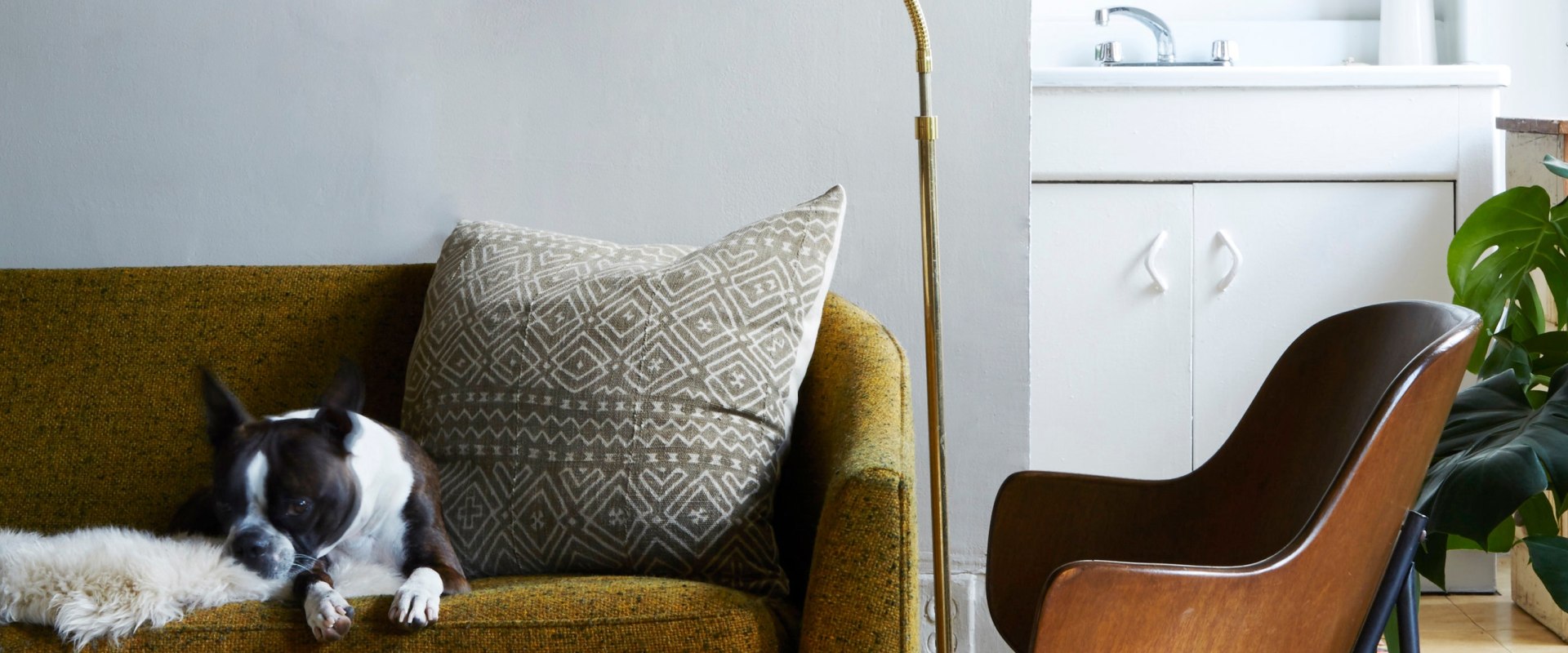 Everything You Need to Know About Upholstery and Canvas Services